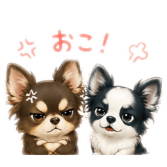 shizuka_20260528171010