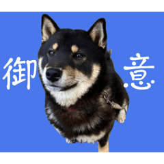 AyA_20260528170704