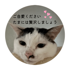 tsumujimaru_20260528173527