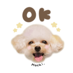 もちくん.mix