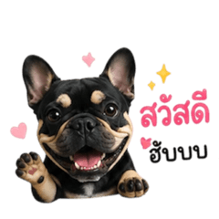 Frenchie PP