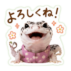 kana_20260529111547