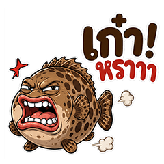 บักเก๋า ปลาเก๋ามึนๆ