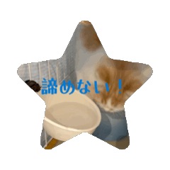 Jun_20260610181407
