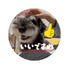 Runa_20260610211659