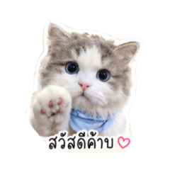 Selena_20260430002212