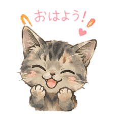 HINAMam_20260528201844