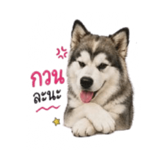 Teeraporn_20260430010146