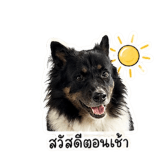 Phamee_20260430005956