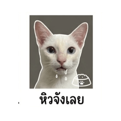 John_20260430010452