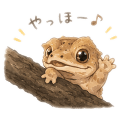 めーたんの日常3