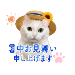 chico_20260528215511