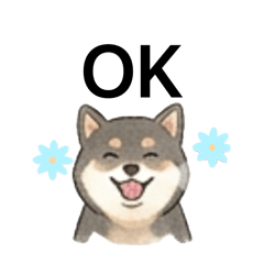 soraQQ_20260528223347