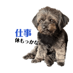 marumaru_20260529102829