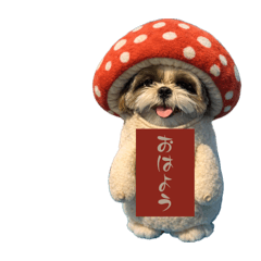 osanpouyu_20260529121656