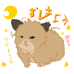 dosuko_20260529121554