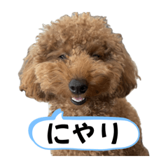 tenten_20260529121547