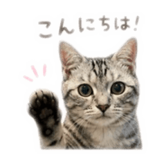tsukuyomo_20260529165139
