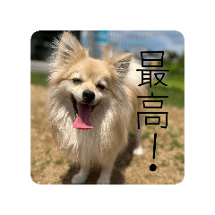 toku_20260529182315