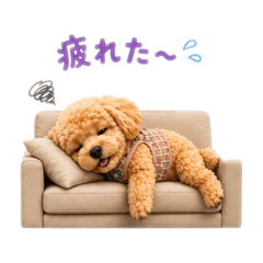 arisa_20260529182621