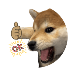 KK_20260529163905