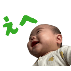 maple_20260529000929