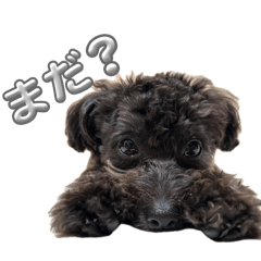 Mayu_20260529003640
