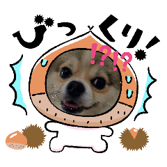 ai_20260529192929