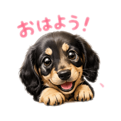 kotarou_20260529202845