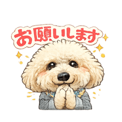 Raito_20260529011054