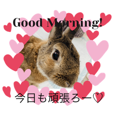 yuu_20260529052203