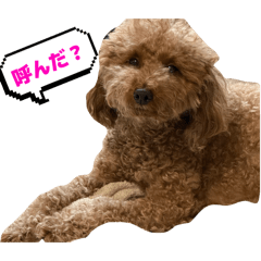 miu_20260529161934