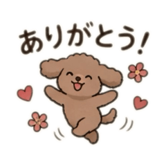 m-cha_20260529072402