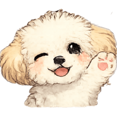 momo_20260529080428