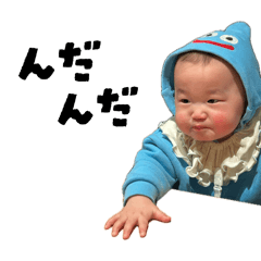 koto_20260529095504