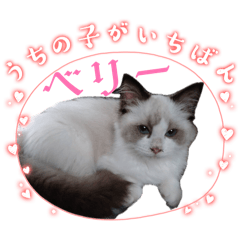 Mimi_20260528213740