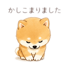 犬犬柴犬