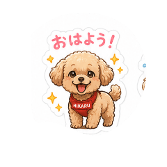 mimi_20260529122851