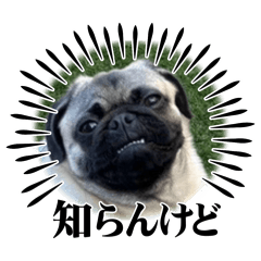 jyori_20260529124011