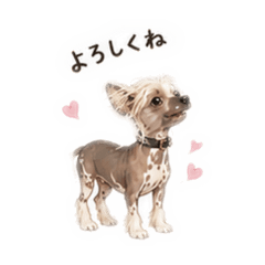 ayumi20260529161607