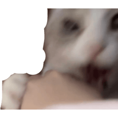 R_20260529213902