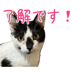 miura_20260529131541