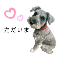 puppu_20260529142157