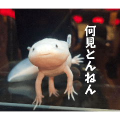 Ryuu_07770