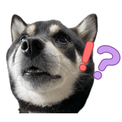 hachi8_20260530030210