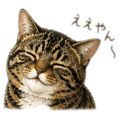 kiyoko_20260530053431