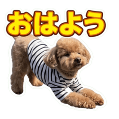 LINE_20260530082731