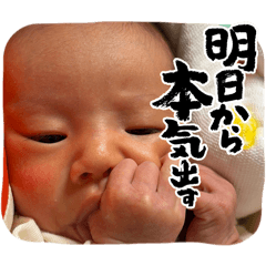 Ariina_20260530083349