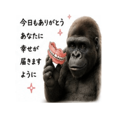 Y.Hsan_20260530104946
