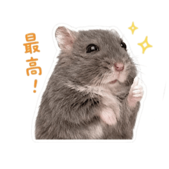 iku_20260530094408